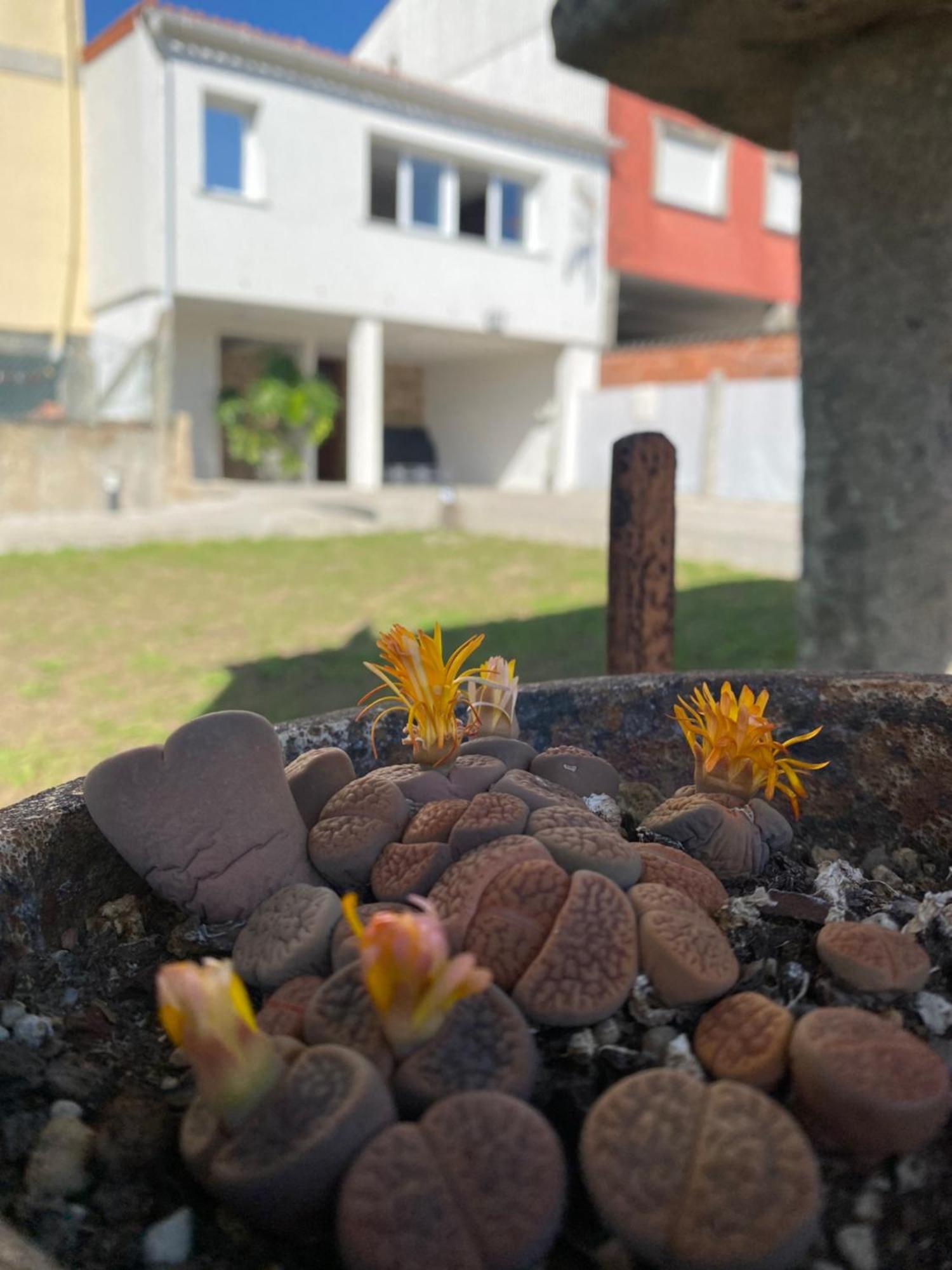 Padrón Casa Do Campo Lestroveヴィラ エクステリア 写真